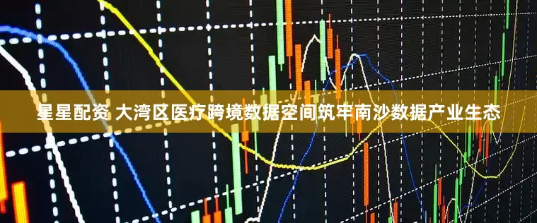 星星配资 大湾区医疗跨境数据空间筑牢南沙数据产业生态