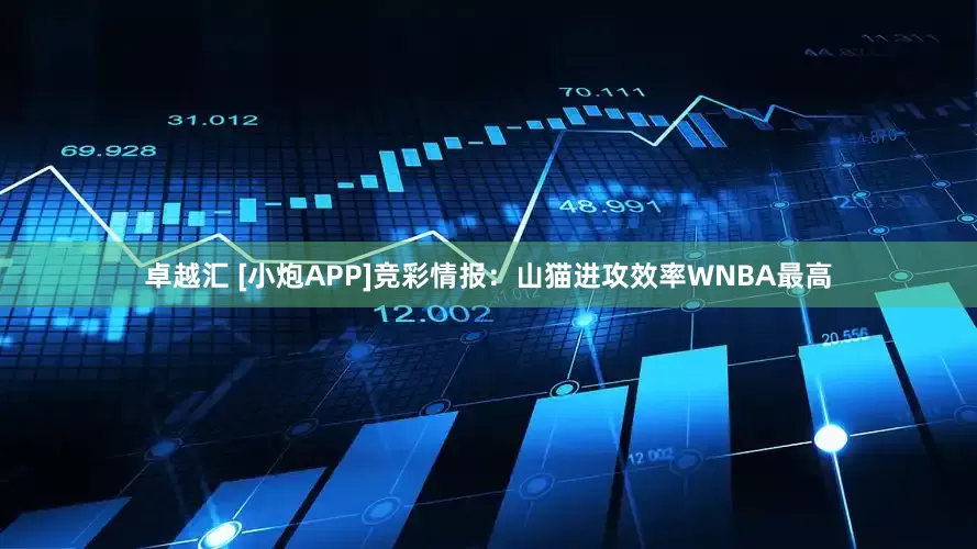 卓越汇 [小炮APP]竞彩情报：山猫进攻效率WNBA最高
